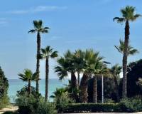 Resale - Apartment / Flat - Torrevieja - Cabo cervera