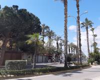 Resale - Apartment / Flat - Torrevieja - Paseo maritimo