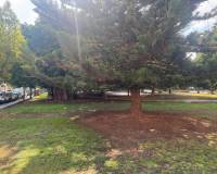 Resale - Apartment / Flat - Torrevieja - Playa del Acequion