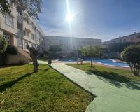 Resale - Apartment / Flat - Torrevieja - Playa del Acequion