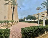 Resale - Apartment / Flat - Torrevieja