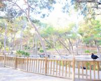 Resale - Penthouse - Guardamar del Segura