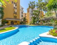Resale - Penthouse - Punta Prima - Panorama Park
