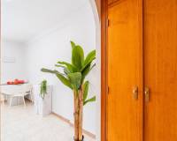 Resale - Terraced house - Torrevieja - La Siesta - El Salado - Torreta
