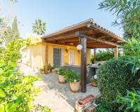 Resale - Villa - San Miguel de Salinas - san miguel