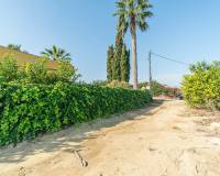 Resale - Villa - San Miguel de Salinas - san miguel