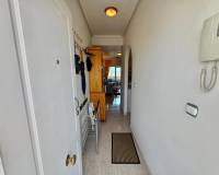 Reventa - Apartamento / Piso - Almoradí