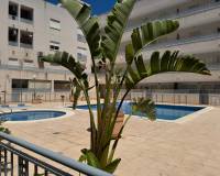 Reventa - Apartamento / Piso - Almoradí