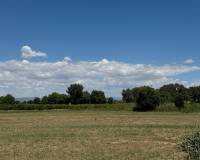 Reventa - Apartamento / Piso - Almoradí