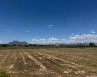 Reventa - Apartamento / Piso - Almoradí