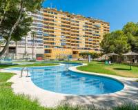 Reventa - Apartamento / Piso - Orihuela Costa - Altos de Campoamor
