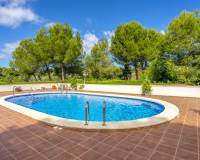 Reventa - Apartamento / Piso - Orihuela Costa - Villamartin Golf