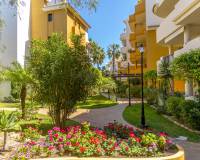 Reventa - Apartamento / Piso - Punta Prima - Panorama Park