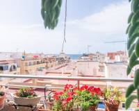 Reventa - Apartamento / Piso - Torrevieja - Curva del Palangre