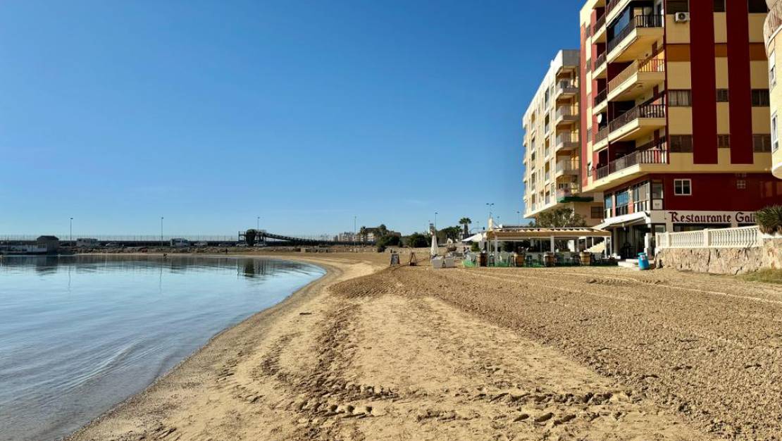 Reventa - Apartamento / Piso - Torrevieja - Playa Acequion