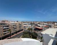 Reventa - Ático - Torrevieja Centro - Torrevieja