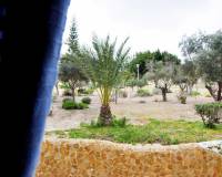 Sale - Apartment/Flat - Guardamar del Segura