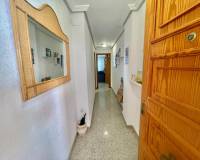 Sale - Apartment/Flat - Torrevieja - Playa de La Acequion