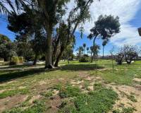 Sale - Apartment/Flat - Torrevieja - Playa del Acequion