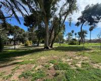 Sale - Apartment/Flat - Torrevieja - Playa del Acequion