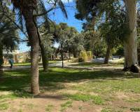 Sale - Apartment/Flat - Torrevieja - Playa del Acequion