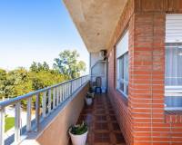 Sale - Apartment/Flat - Torrevieja - Playa del Acequion