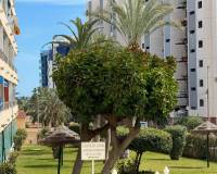 Sale - Apartment/Flat - Torrevieja - Punta Prima