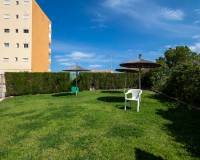 Sale - Квартира / Квартира - Nueva Torrevieja - Aguas Nuevas - Aguas Nuevas