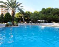 Sale - Квартира / Квартира - Orihuela Costa - Campoamor