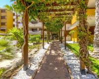 Sale - Квартира / Квартира - Punta Prima - La Entrada