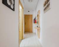 Sale - Квартира / Квартира - Torrevieja - Playa del Acequion