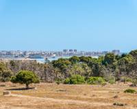 Sale - Квартира / Квартира - Torrevieja - Punta Prima