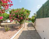 Sale - Квартира / Квартира - Torrevieja - Torreblanca