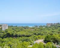 Sale - пентхауз - Orihuela Costa - Campoamor