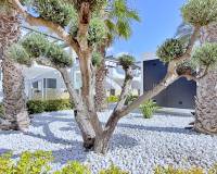 Sale - пентхауз - Orihuela Costa - Punta Prima