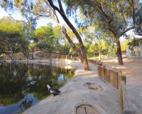 Sale - Penthouse - Guardamar del Segura