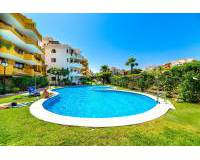 Sale - Penthouse - Torrevieja - Panorama Park