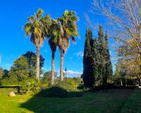 Sale - Radhus - Torrevieja - Playa de los Naufragos