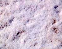 Sale - участок - Torrevieja