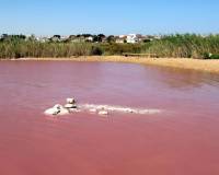 Sale - участок - Torrevieja