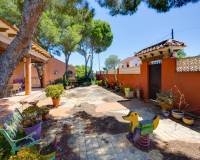 Sale - Вилла - San Miguel de Salinas