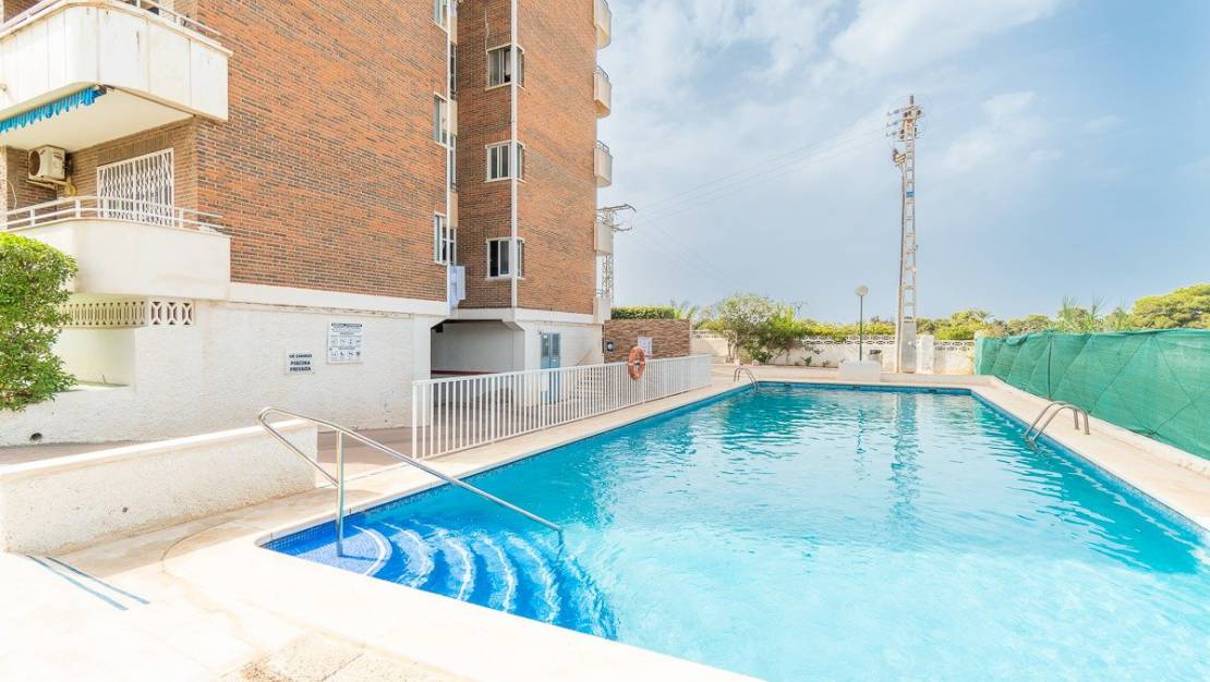 Short time rental - Apartment / Flat - Torrevieja - Rocio del Mar