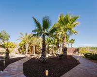 tekrar satış - Villa - Orihuela Costa - Las Colinas Golf