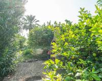 tekrar satış - Villa - San Miguel de Salinas - san miguel