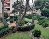 Uzun süre kiralama - Apartman dairesi - Orihuela Costa - Mil Palmeras