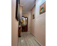 Uzun süre kiralama - Apartman dairesi - Torrevieja - España