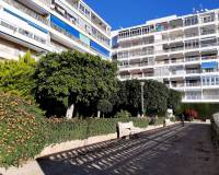 Uzun süre kiralama - Apartman dairesi - Torrevieja - Paseo maritimo