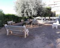 Uzun süre kiralama - Apartman dairesi - Torrevieja - Paseo maritimo