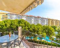 Videresalg - Apartment/Flat - Orihuela Costa - Campoamor