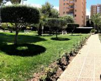 Videresalg - Apartment/Flat - Orihuela Costa - Campoamor